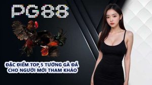 Tin Tức PG88 - Tham Gia Sự Kiện Mỗi Tuần Cho Tân Thủ