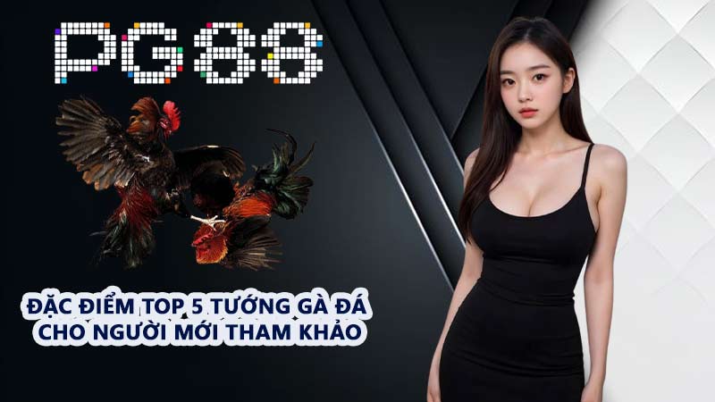 Top 5 Tướng Gà - Trải Nghiệm Các Giống Chiến Kê Hàng Đầu